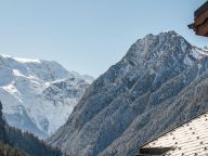 Chalet-appartement Les Alpages de Champagny Appartement C22-23