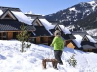 Chalet Le Village Gaulois chalet-11