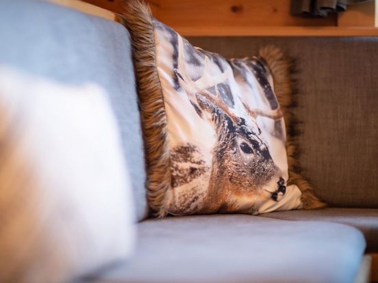 Chalet Mogli Alm-6