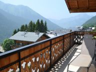 Chalet-appartement Pensée des Alpes-21