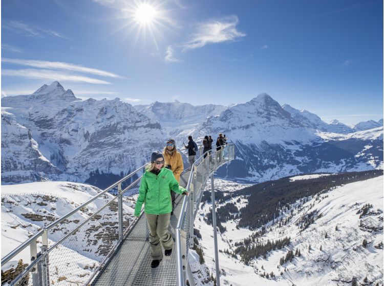 Skigebied Jungfrau Region-1