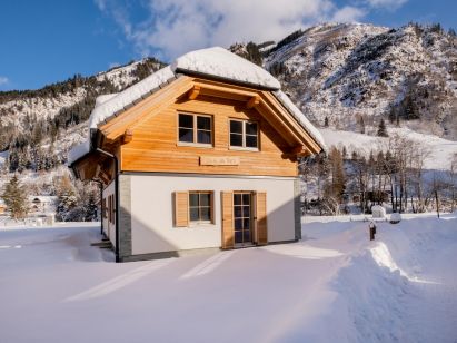 Chalet Riesneralm Haus am Bach-1