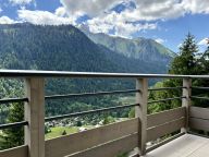 Chalet-appartement Le Theleme-12