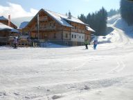 Chalet Almwelt Austria Sennerin-14