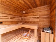 Appartement Ski & Nature Penthouse met privé-sauna-3