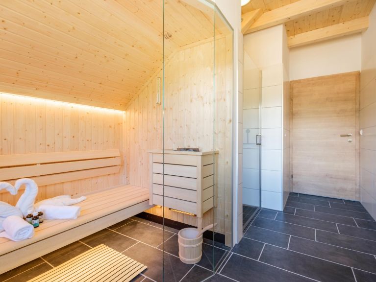 Chalet Riesneralm Hestia