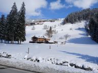 Chalet-appartement Fassl-4