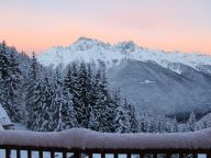 Chalet Le Clos du Pré aan de piste, met familiekamer-23