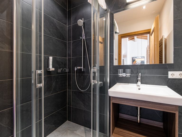 Chalet-appartement Wildkogelresorts Penthouse Type IIa