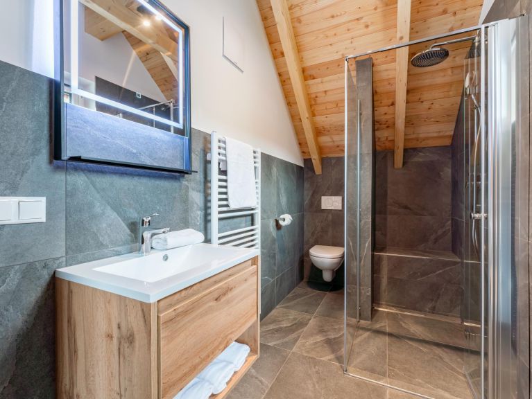 Chalet Mountain Chalet Alpinchique 2