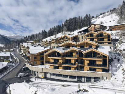 Chalet-appartement AlpenParks Rehrenberg Classic-1