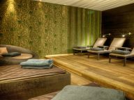 Chalet-appartement AlpenParks Taxacher Rettenstein Penthouse-12