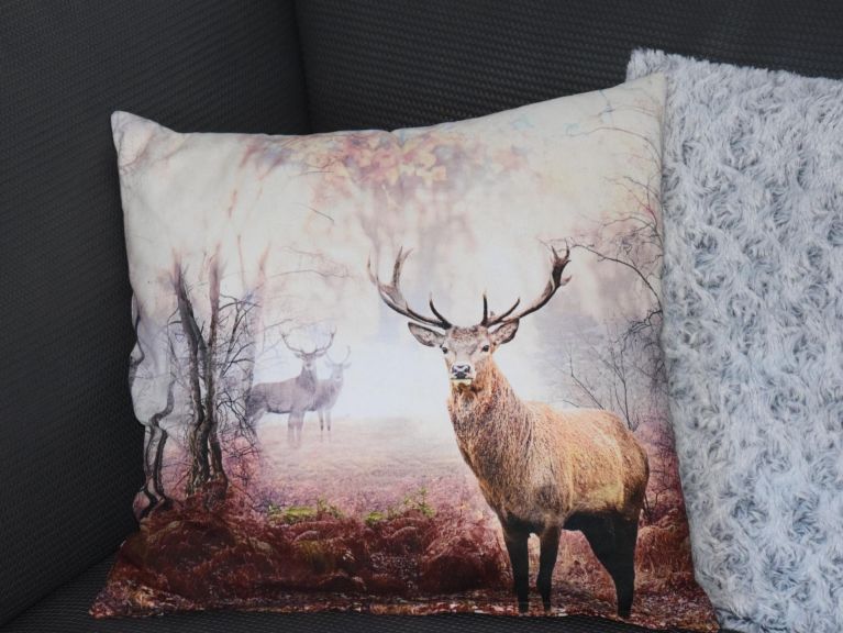 Chalet Riesneralm Karibu