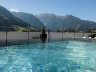 Chalet-appartement Das Neukirchen Type 2b-3