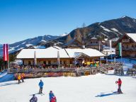 Chalet Almwelt Austria Sennerin-10