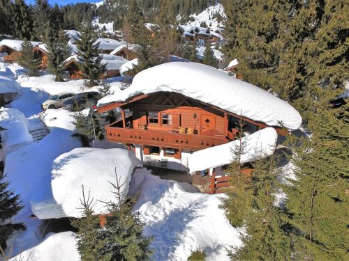 Chalet-appartement Merlenhütte Top EG - 2-4 personen